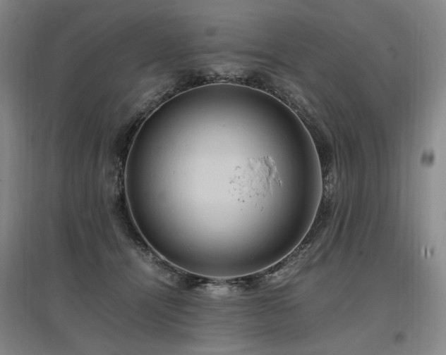 X0000097460464200802221218