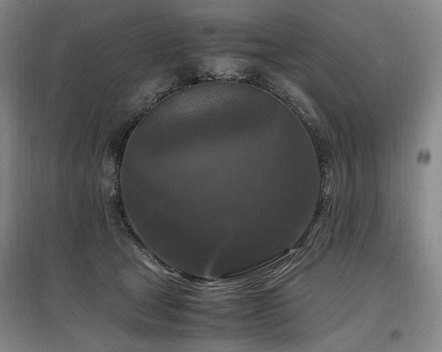 X0000097460465200802221218