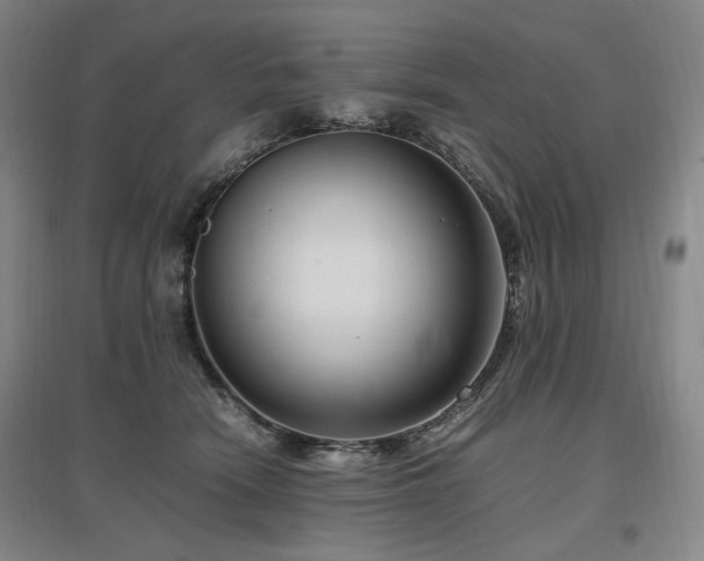 X0000097460466200802221218