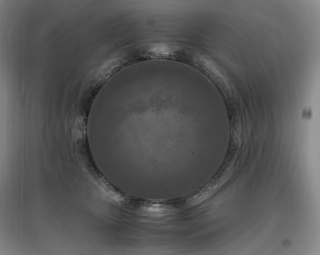 X0000097460467200802221218