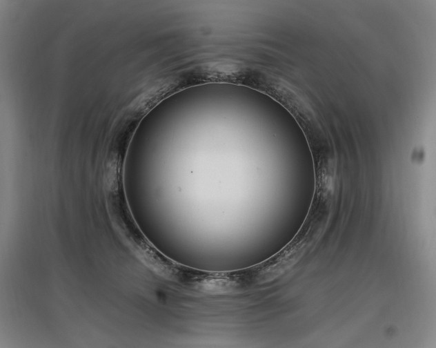X0000097460468200802221218