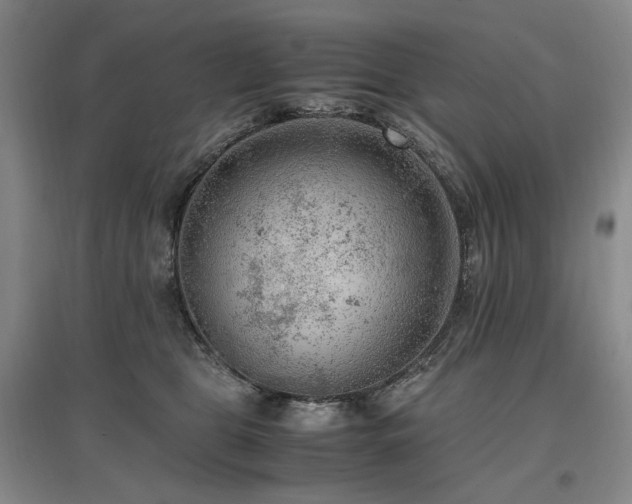 X0000097460469200802221218