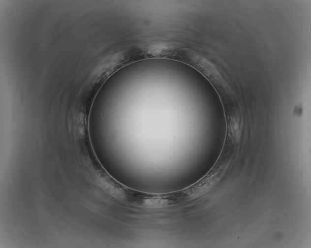 X0000097460470200802221218