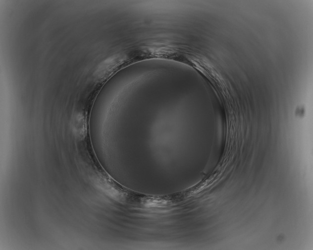 X0000097460471200802221218