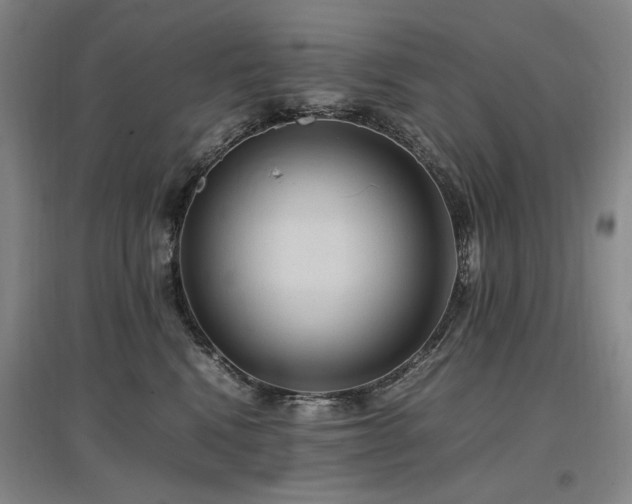 X0000097460472200802221218