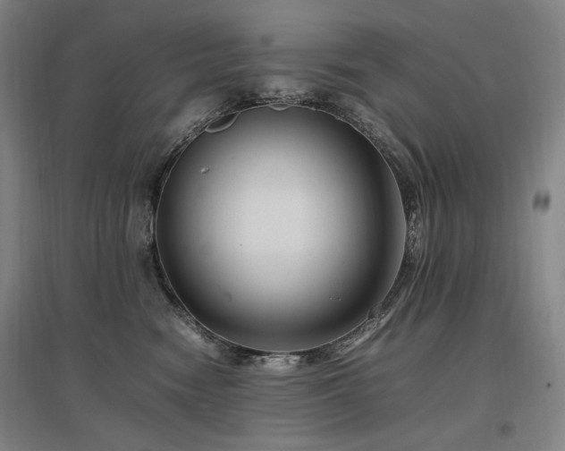 X0000097460474200802221218