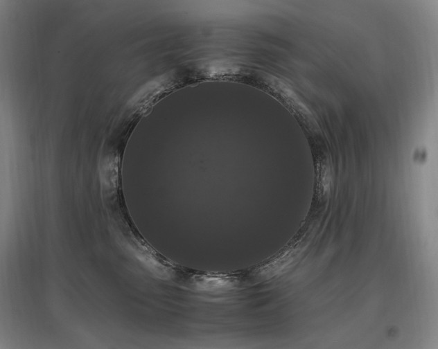 X0000097460475200802221218
