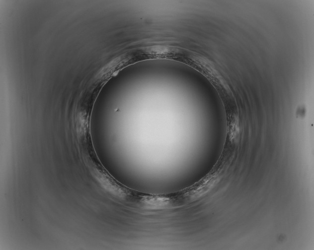 X0000097460476200802221218
