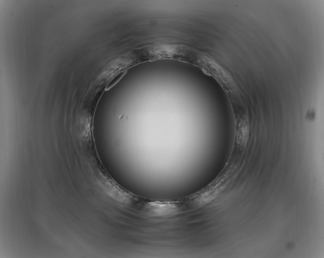 X0000097460477200802221218