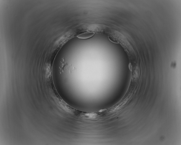 X0000097460478200802221218