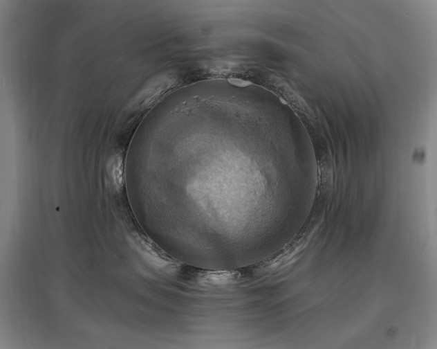 X0000097460479200802221218