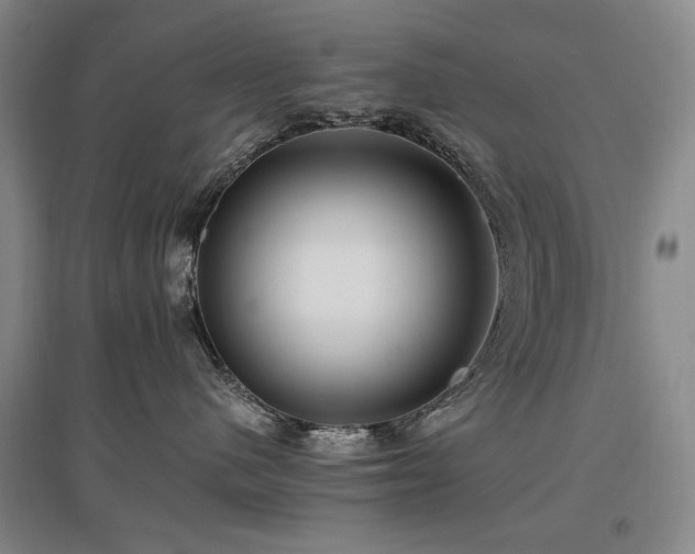 X0000097460480200802221218
