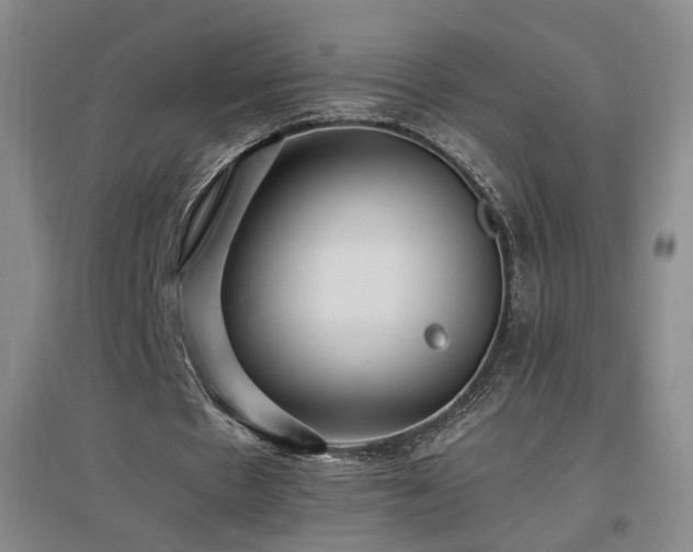 X0000097460481200802221217