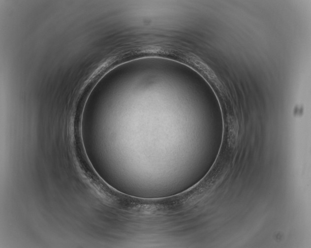 X0000097460482200802221217