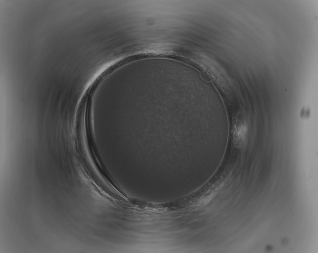 X0000097460484200802221217
