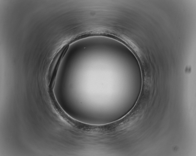 X0000097460485200802221217