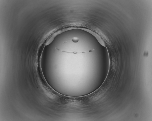 X0000097460486200802221217