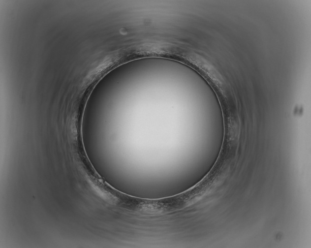 X0000097460489200802221217