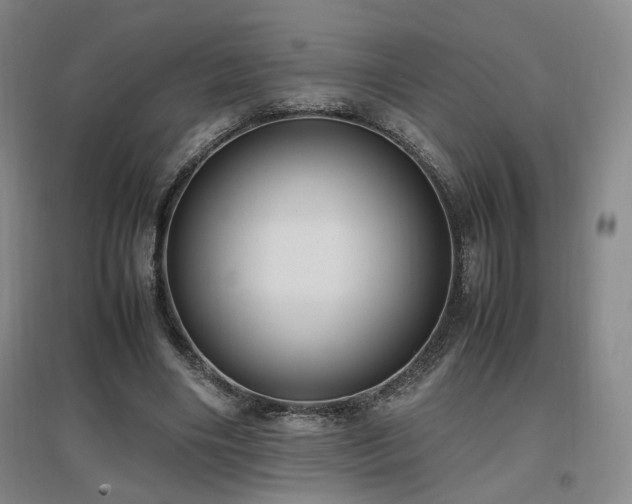 X0000097460490200802221217