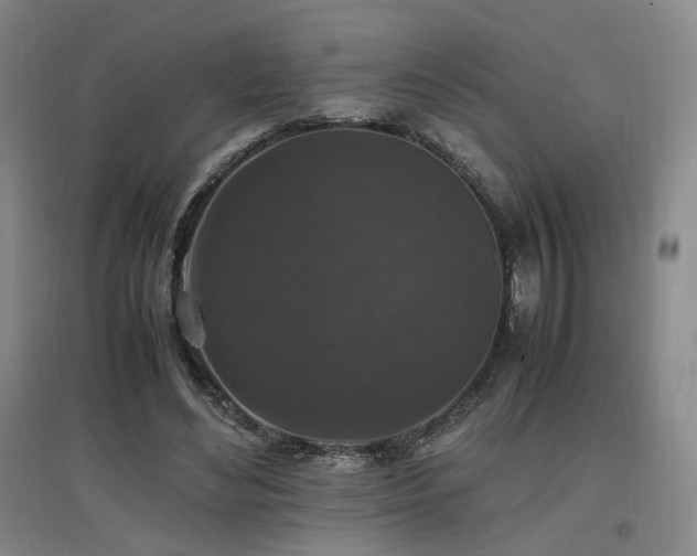 X0000097460492200802221217
