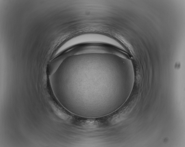 X0000097460493200802221217