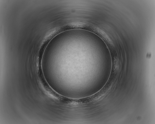 X0000097460494200802221217