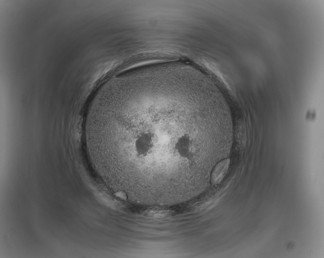 X0000097460495200802221217