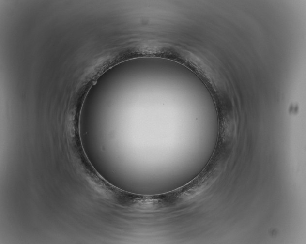 X0000097460497200802221217