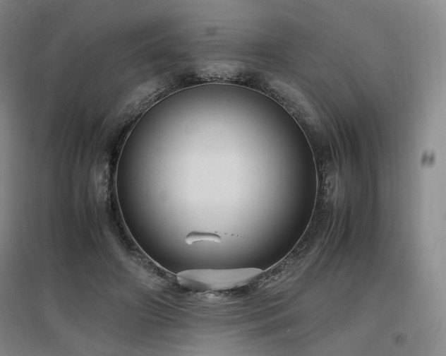 X0000097460498200802221217