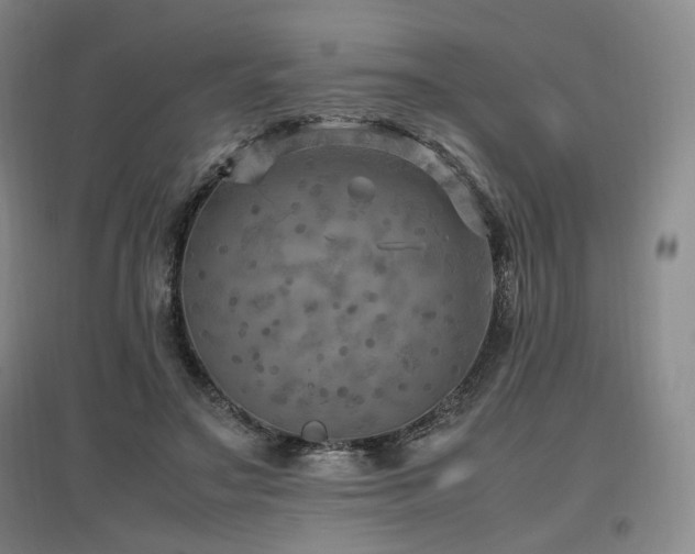 X0000097460499200802221217