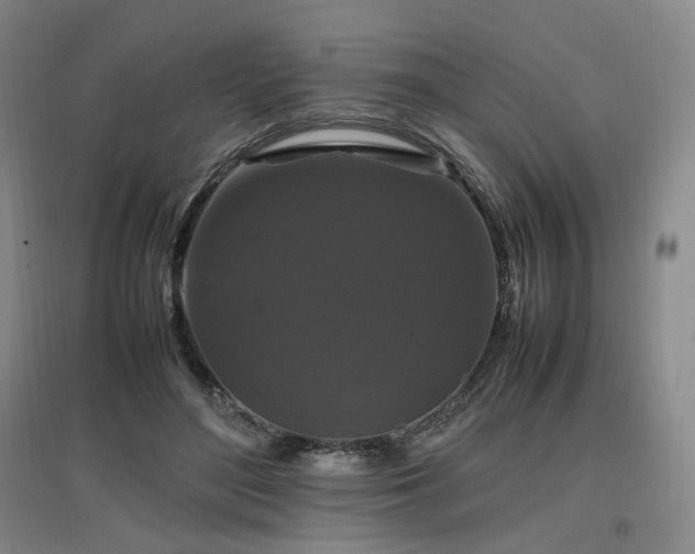 X0000097460500200802221217