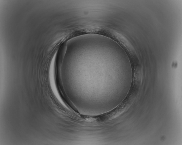 X0000097460501200802221217