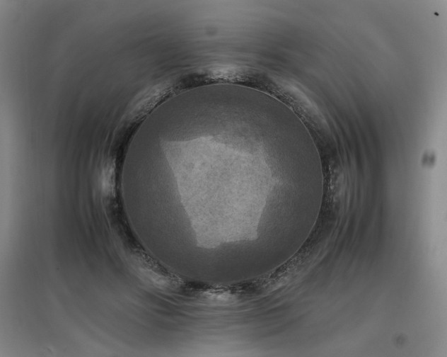 X0000097460502200802221217
