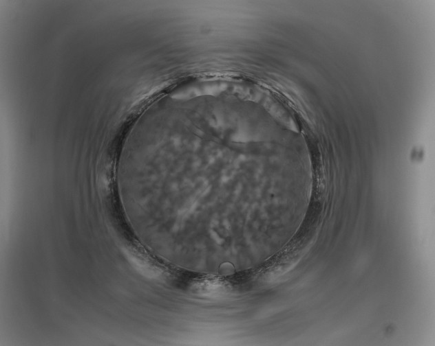 X0000097460503200802221217