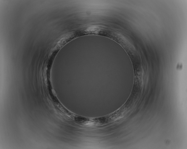 X0000097460504200802221217
