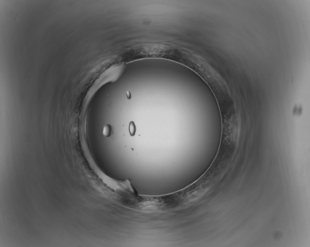 X0000097460505200802221217