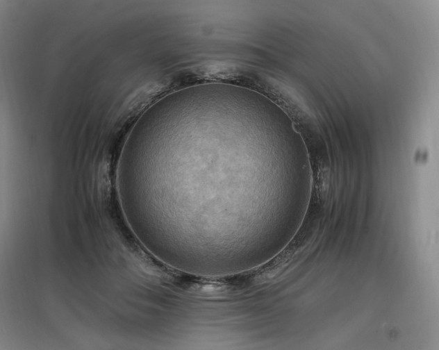 X0000097460506200802221217