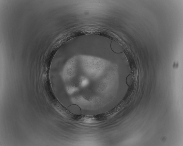 X0000097460507200802221217