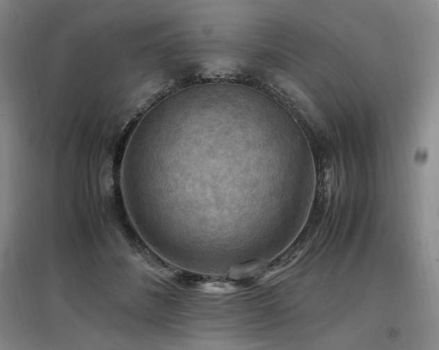 X0000097460508200802221217