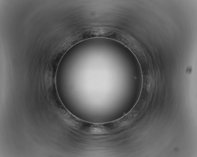 X0000097460510200802221217