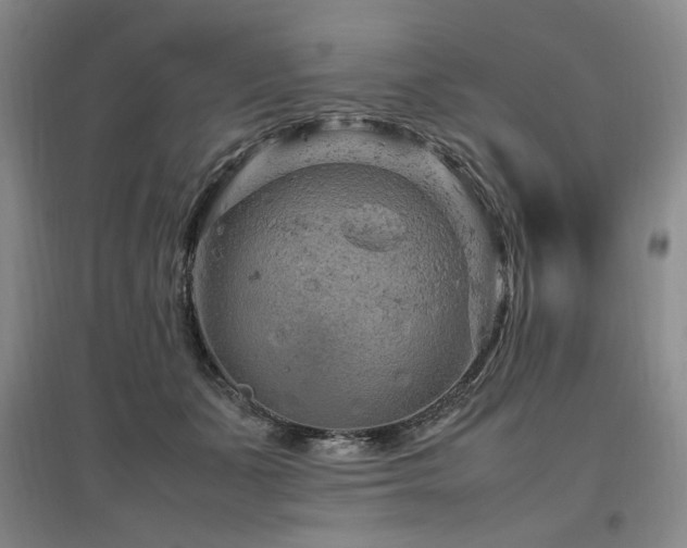 X0000097460511200802221217