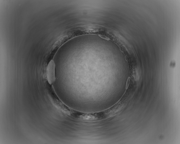 X0000097460512200802221217