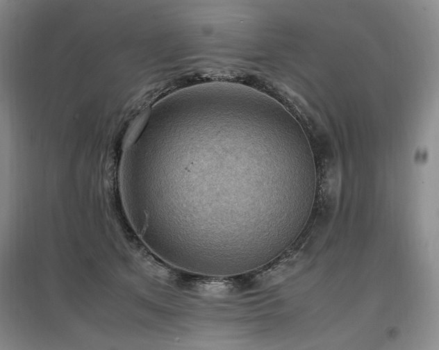 X0000097460513200802221217