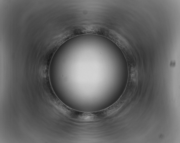 X0000097460514200802221217