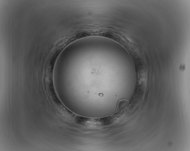 X0000097460515200802221217