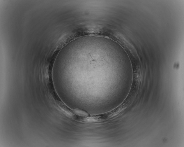 X0000097460516200802221217