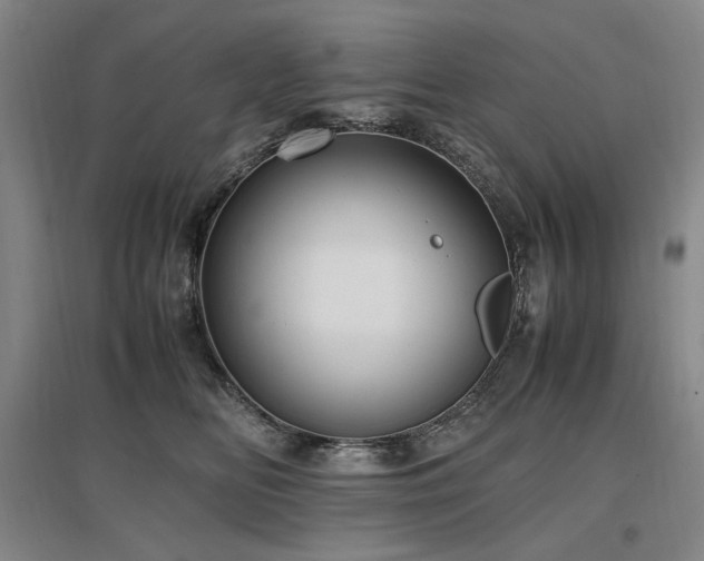 X0000097460518200802221217