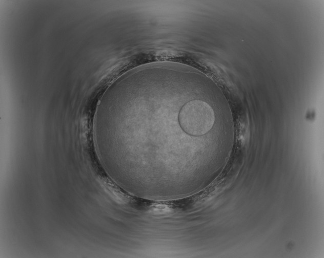 X0000097460519200802221217