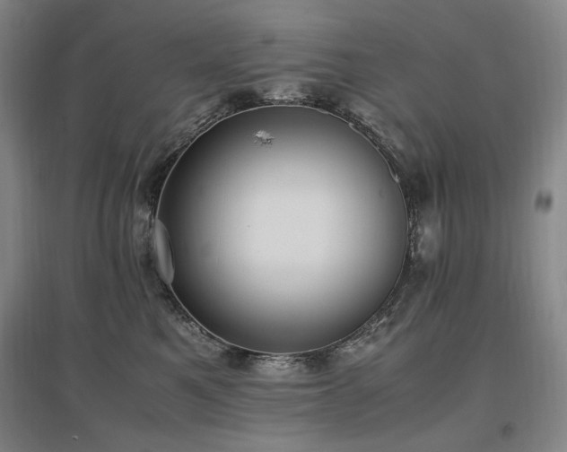 X0000097460521200802221217