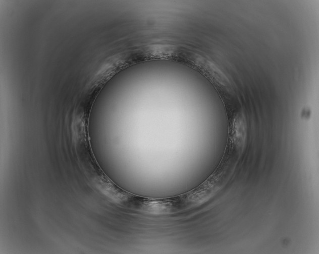 X0000097460522200802221217